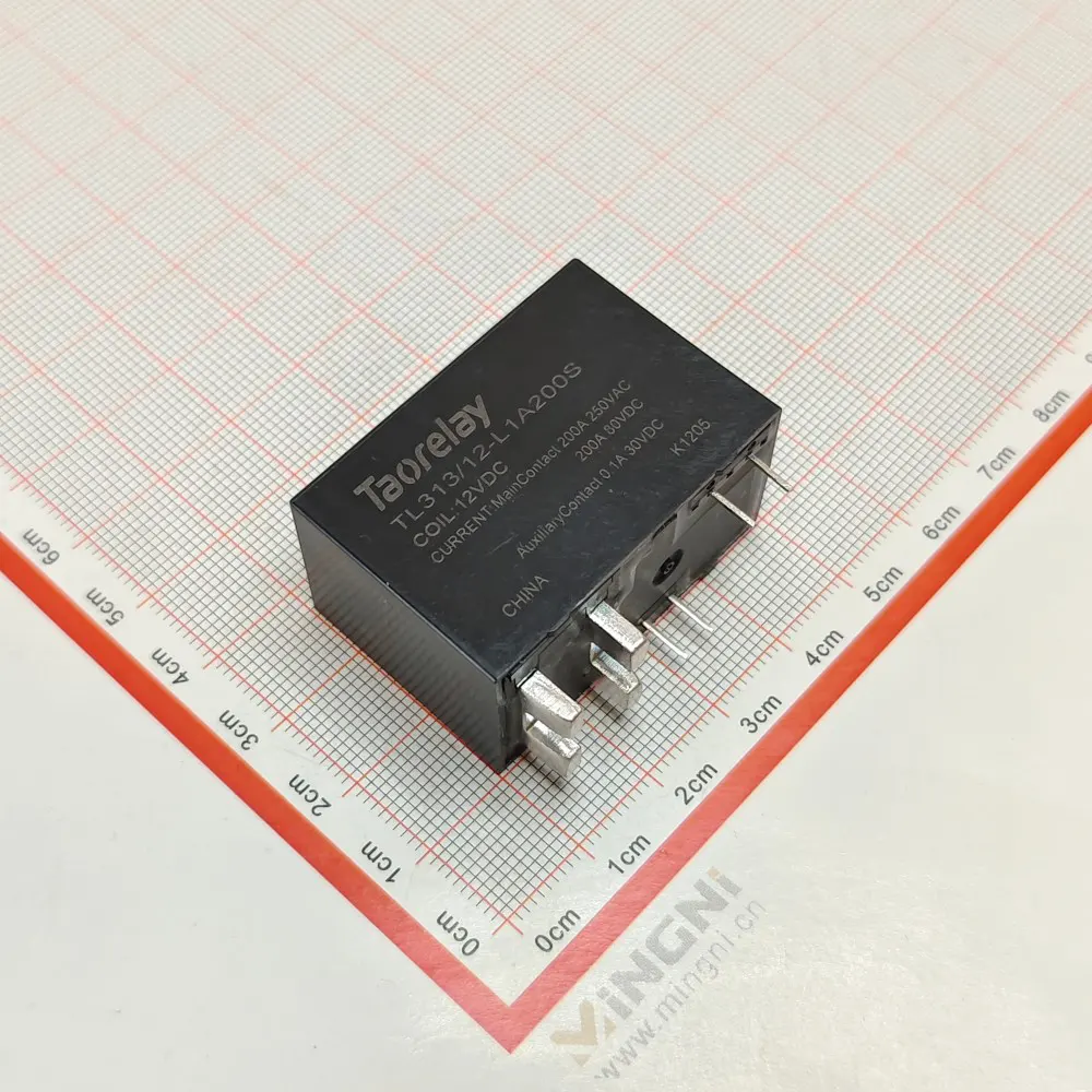 Tmagnetic holding relay